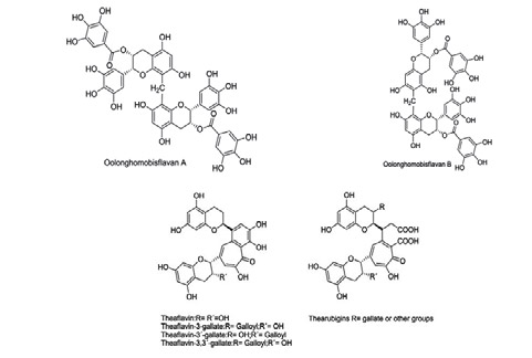 Oolong Tea polymerized-polyphenols,OTPP